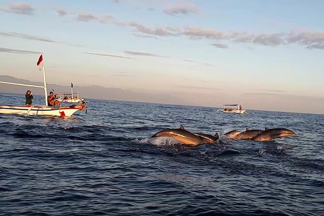 Lovina Sunrise Dolphin With Option Snorkeling and Waterfall - Pricing and Booking Information