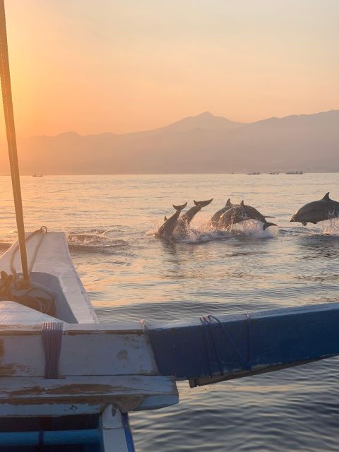 Lovina: Sunrise Dolphins Tour, Waterfall, Ulun Danu Beratan - Good To Know