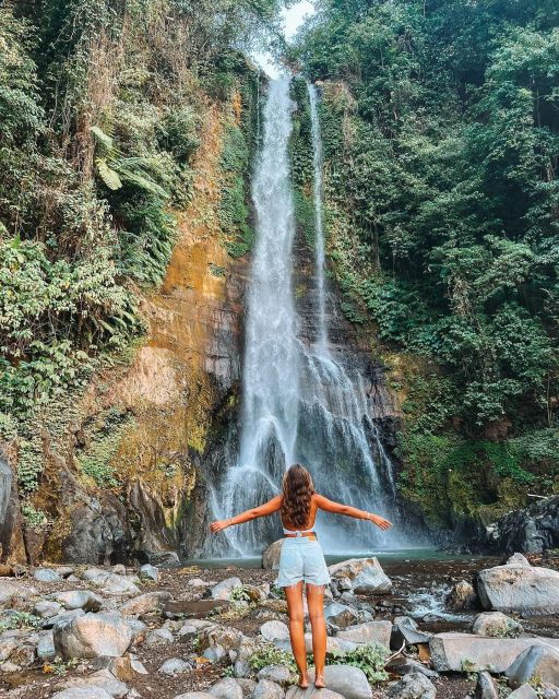 Lovina: Sunrise Dolphins Tour, Waterfall, Ulun Danu Beratan - Booking Details
