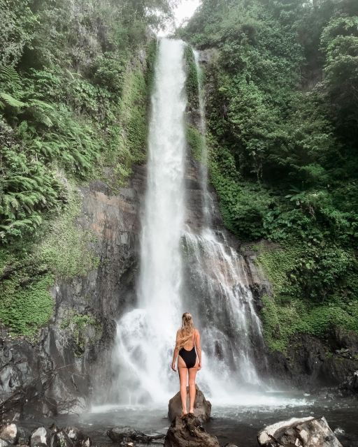 Lovina: Sunrise Dolphins Tour, Waterfall, Ulun Danu Beratan - Tour Highlights