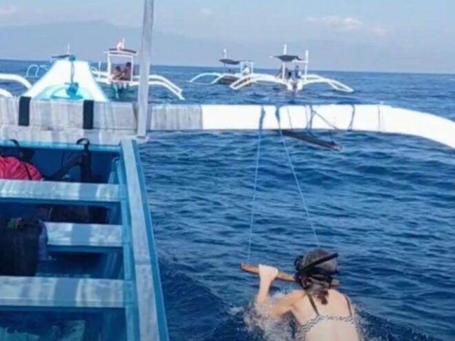 Lovina: Sunrise or Daytime Dolphin Watching and Swim Tour - Additional Information
