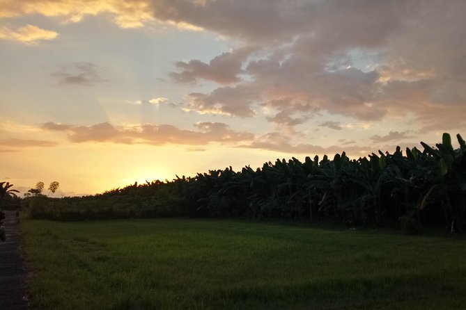 Lovina Taxi Service - Questions and Assistance