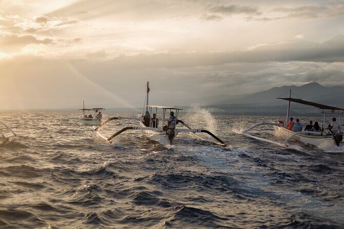 Lovina Watching Swimming with Dolphins and Snorkeling - Authentic Experiences and Authentic Encounters