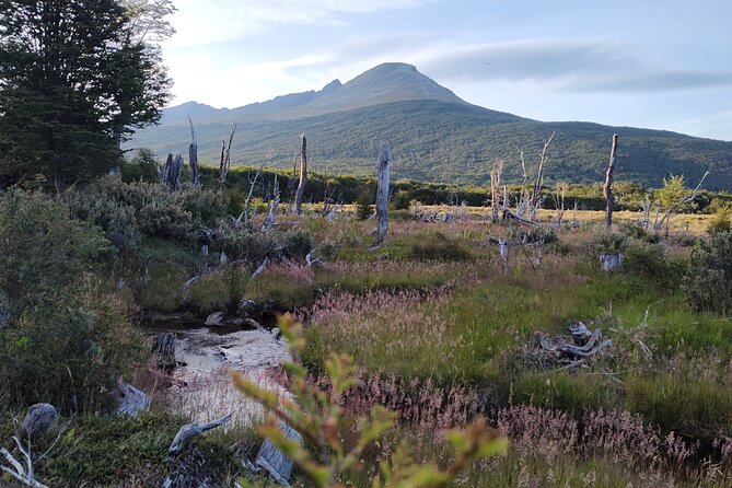 Low Cost Ushuaia National Park Tour - Tour Location and Duration