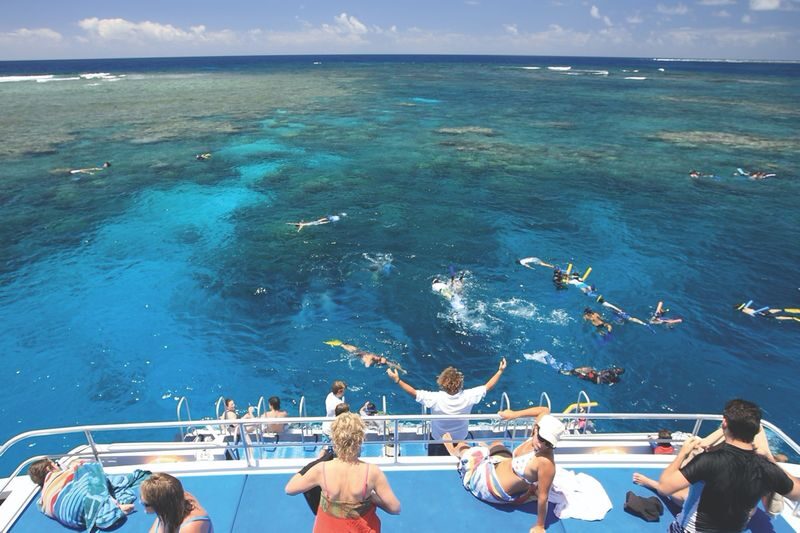 Low Isles Snorkeling Experience from Port Douglas - Key points before you book
