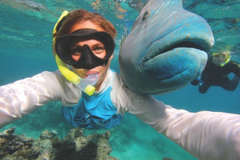 Low Isles Snorkeling Experience from Port Douglas - Low Isles beyond the water