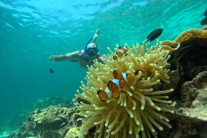 Low Season Lipe Island Snorkeling Adventure (June-Oct) - An Overview of the Experience: What You Can Expect