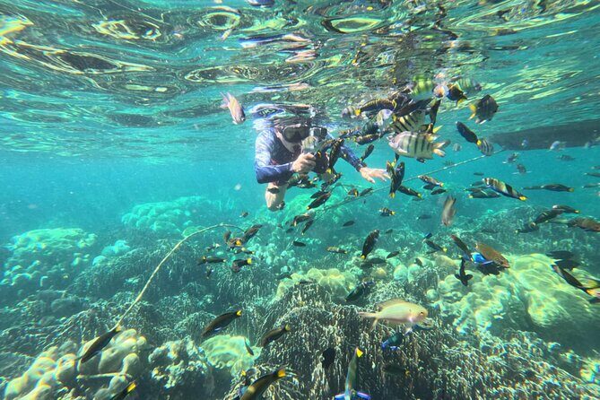 Low Season Lipe Island Snorkeling Adventure (June-Oct) - Final Thoughts