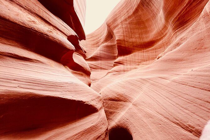 Lower Antelope Canyon and Horseshoe Bend Day Tour with Lunch - Guides and Service