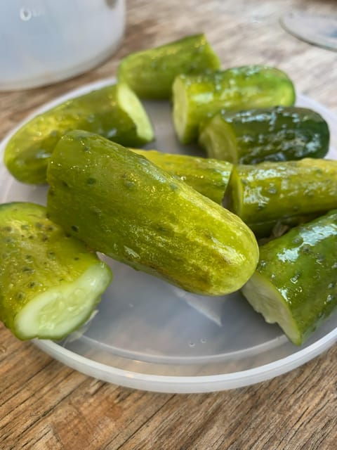 Lower East Side: Small Group Walking and Food Tasting Tour - Customer Feedback