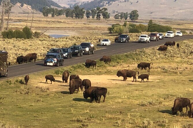 Lower Loop Hot Springs Geysers Private West Yellowstone - Final Thoughts: Is It Worth It?