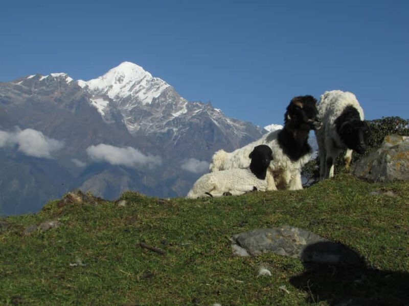 Lower Manaslu Trek : 5 days from kathmandu - Final Words