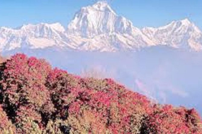 Lower Mustang Trekking 12 Days - Accommodation and Meals