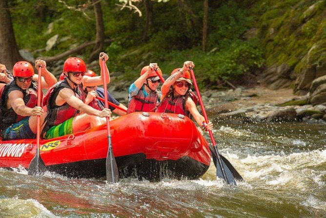 Lower Pigeon River Rafting Tour - Overview of the Rafting Adventure