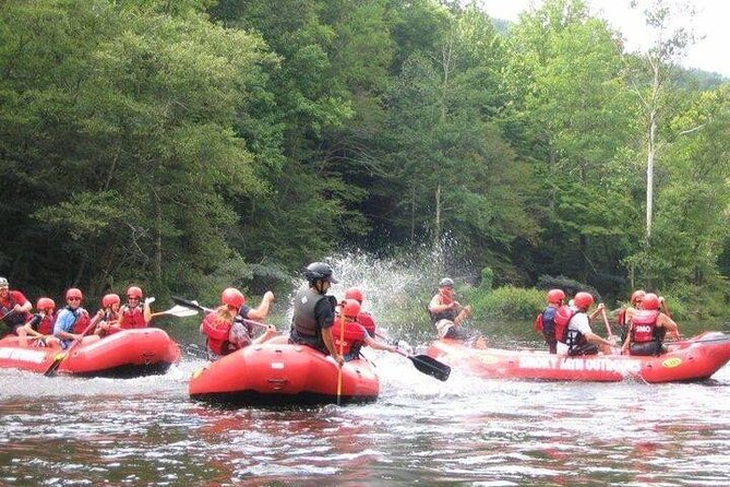 Lower Pigeon River Rafting Tour - Meeting Point and Arrival Instructions