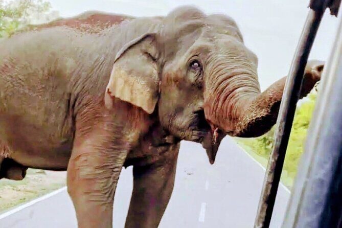 Lowest Taxi Price from CMB Airport to Colombo and Negombo - Practical Tips for Booking and Use