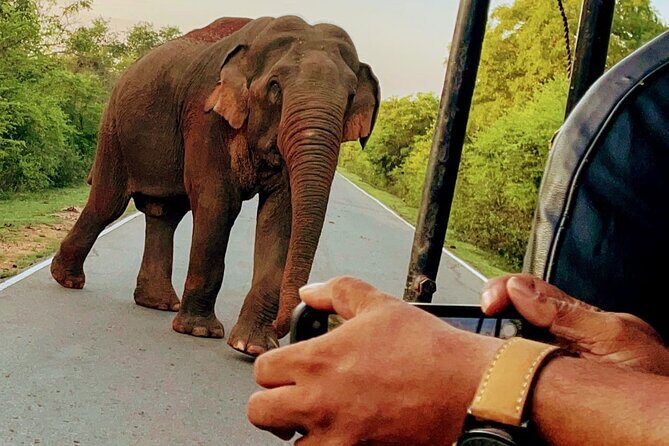 Lowest Taxi Price from CMB Airport to Colombo and Negombo - Who Would Benefit Most?