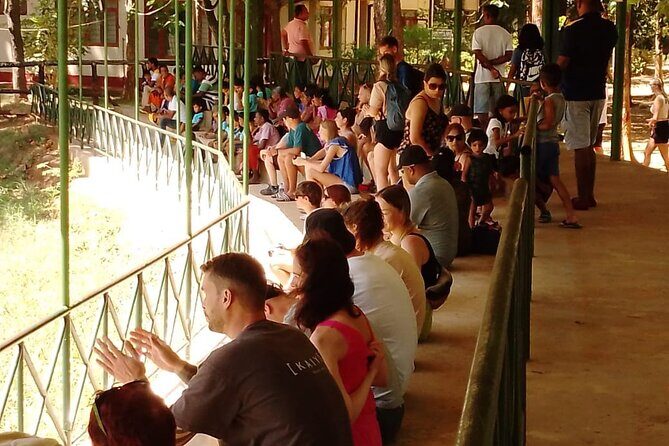 Lowest Taxi Price from CMB Airport to Colombo and Negombo - Frequently Asked Questions