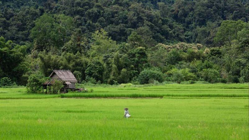 Luang Prabang: 1 Day ff-road The Small Chili Countryside - Authenticity and Practical Tips