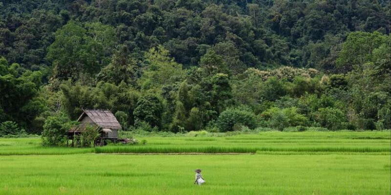 Luang Prabang: 1 Day ff-road The Small Chili Countryside - Who Should Consider This Tour?