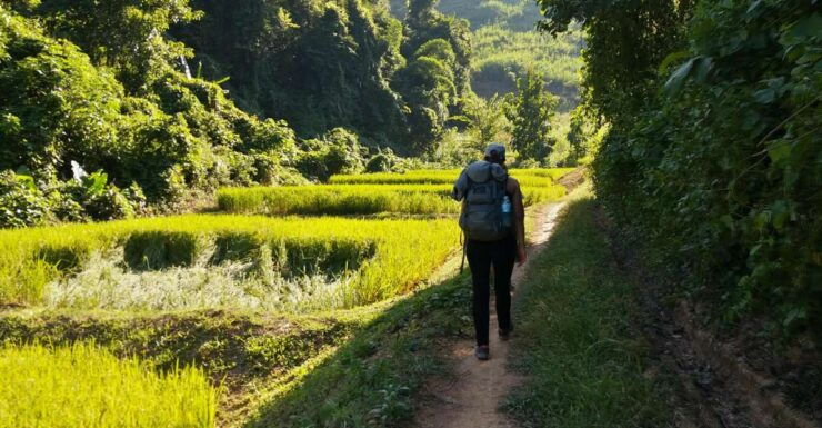 Luang Prabang: 3-Day Cultural Remote Trek With Homestay - Experience During the Trek