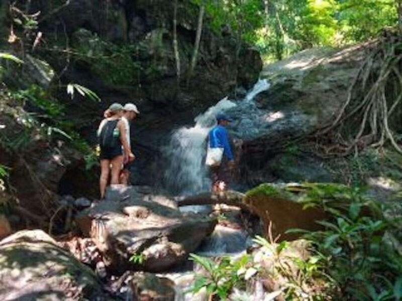 Luang Prabang: 3 Days Ethnic Forest Living - Mekong - An Overview of the Experience