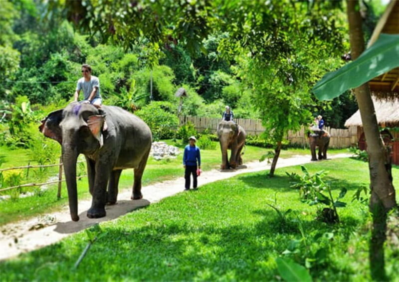 Luang Prabang: 4 Day 3 Nights Guide Tour - Luang Prabang: 4 Day 3 Nights Guide Tour Review