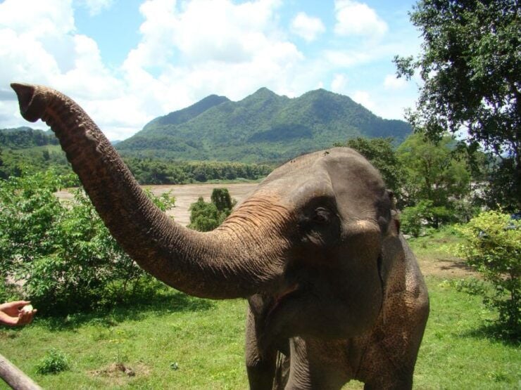 Luang Prabang: 4-Day Explorer Tour - Tour Highlights and Activities