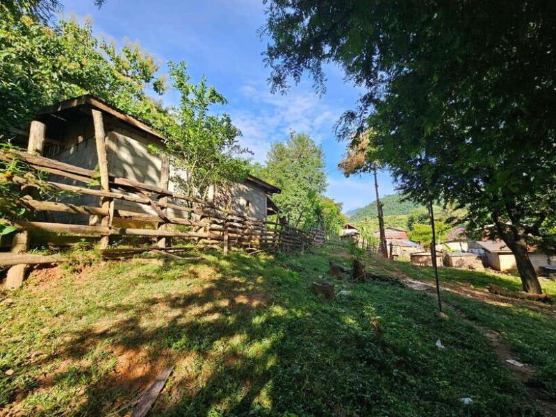 Luang Prabang: Authentic Lao Village & Farm Experience Day - An Overview of the Experience