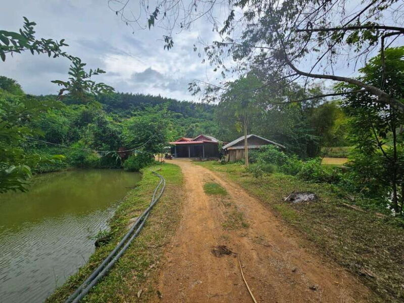 Luang Prabang: Authentic Lao Village & Farm Experience Day - Additional Insights from Reviews