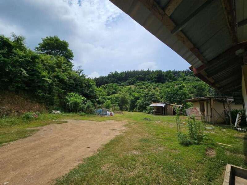 Luang Prabang: Authentic Lao Village & Farm Experience Day - Who Will Enjoy This Tour?