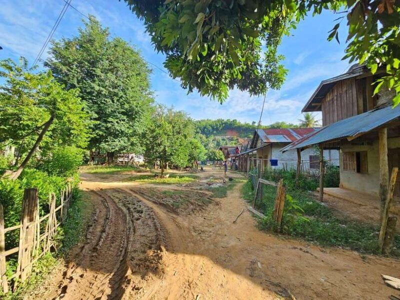 Luang Prabang: Authentic Lao Village & Farm Experience Day - An In-Depth Look at the Experience