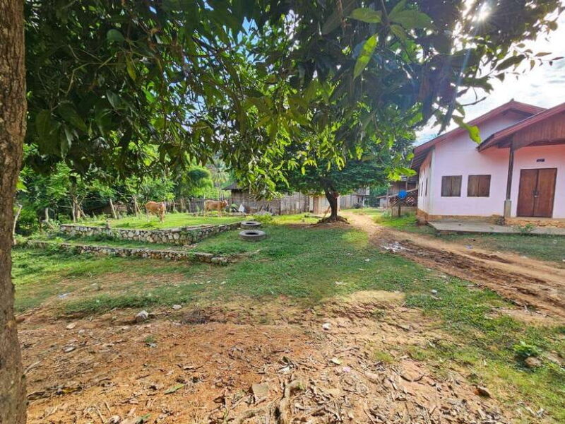 Luang Prabang: Authentic Lao Village & Farm Experience Day - Who Is This Tour Best For?