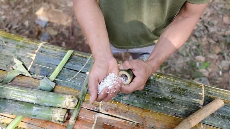 Luang Prabang: Bamboo Forest Cooking-class & Farm Visit - Who Will Love This Experience?