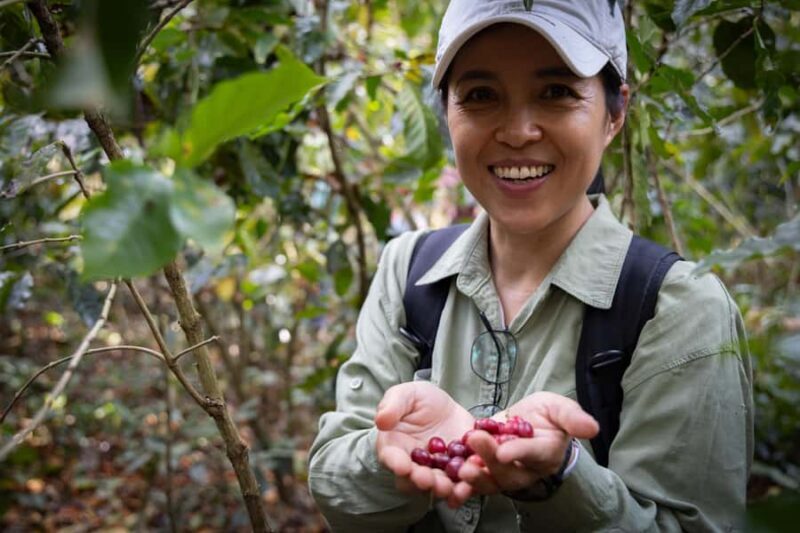 Luang Prabang: Coffee Farm Tour with Roasting & Workshop - Good To Know