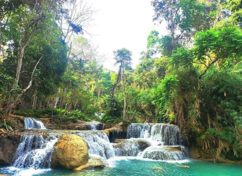 Luang Prabang: Cruise to Pak Ou Caves and Kuang si fall - The Sum Up