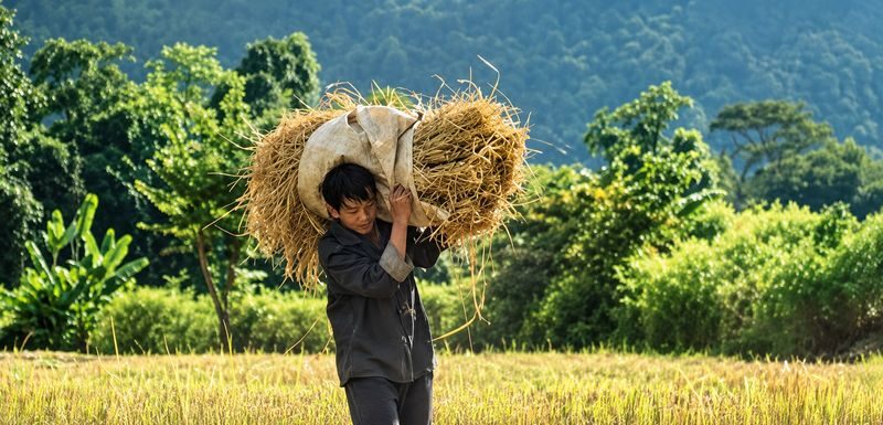 Luang Prabang Cultural Exploration - What the guide can add