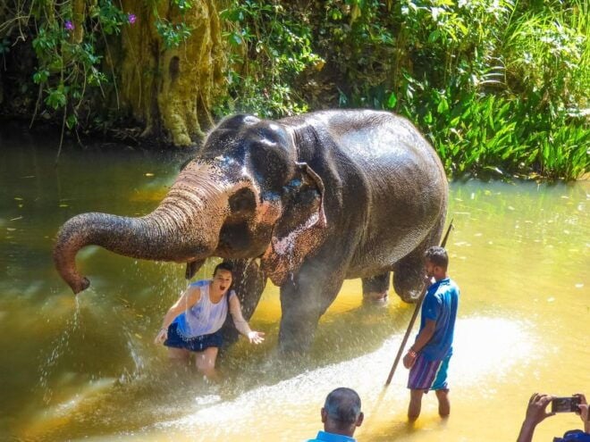 Luang Prabang Elepphant Keeper Bathe Option Kuangsi Tour - Pickup and Itinerary Details