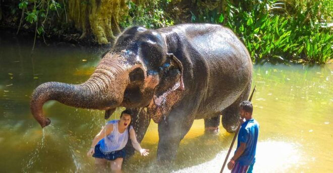 Luang Prabang Elepphant Keeper Bathe Option Kuangsi Tour - Directions and Additional Information