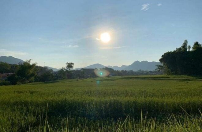 Luang Prabang: Evening Cooking Class & Local Baci Ceremony - Full Description