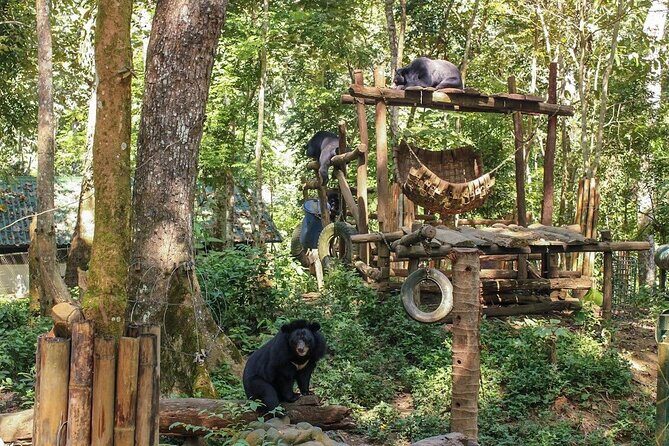 Luang Prabang Highlights Tour 2 Days - Exploring Luang Prabang in Two Days: A Detailed Review of the Highlights Tour