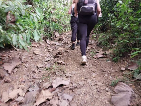 Luang Prabang: Hiking off the Beaten Track With Picnic Lunch - Picnic Lunch Experience