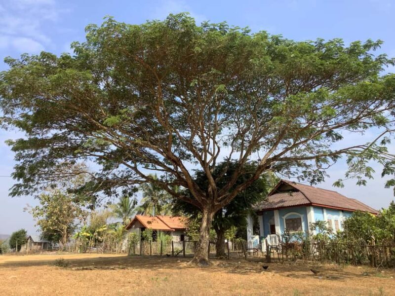 Luang Prabang: Hmong Village + Rafting Day Trip - Practical Tips