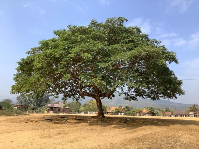 Luang Prabang: Hmong Village + Rafting Day Trip - Analyzing the Price and Overall Value