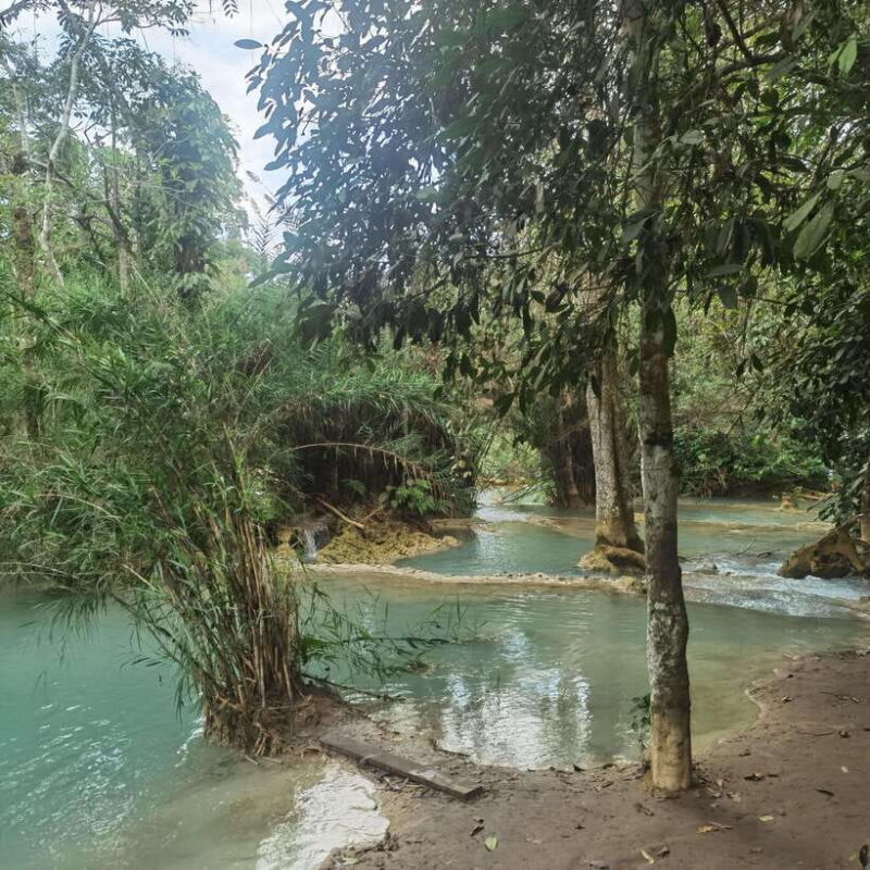 Luang Prabang: Kuang Si Falls, River Tracing Hiking - Good To Know
