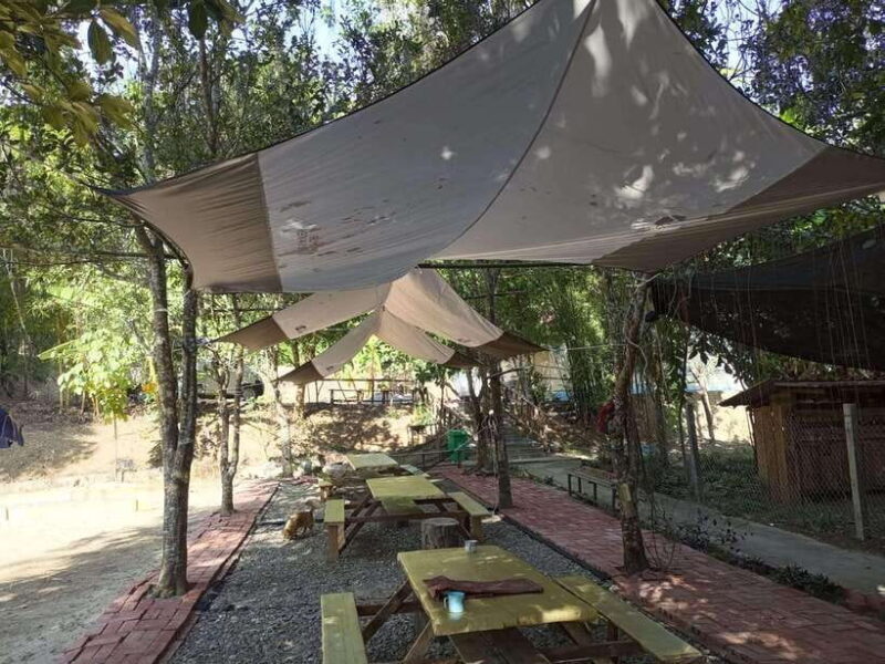 Luang Prabang: Kuang Si Falls, River Tracing Hiking - An Overview of the Experience