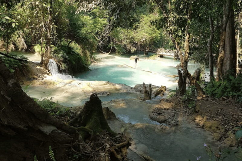 Luang Prabang: Kuang Si Falls, River Tracing Hiking - Wildlife and Scenic Views