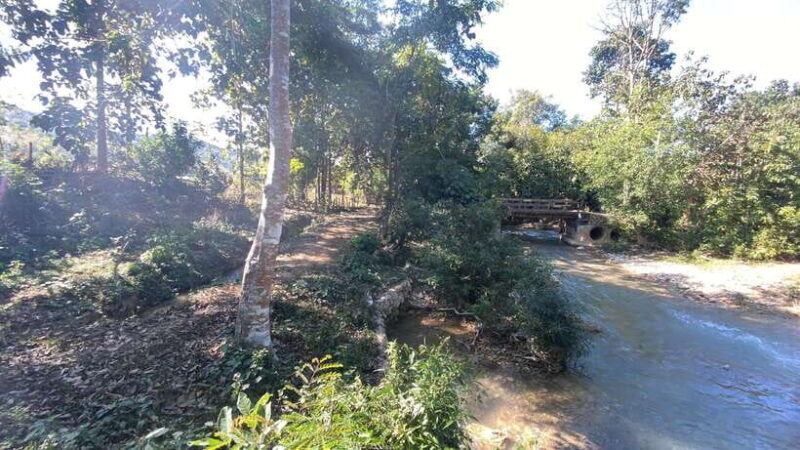 Luang Prabang: Kuang Si Falls, River Tracing Hiking - Practical Details & Logistics