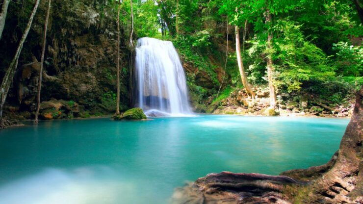 Luang Prabang: Local Village & Kuang Si Falls Private Tour - Experience