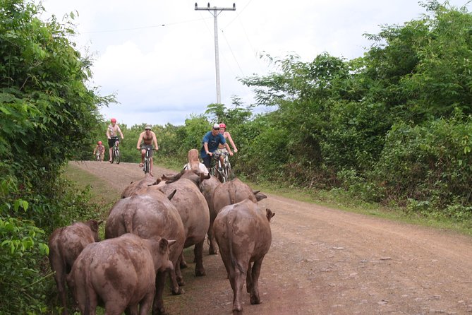Luang Prabang Mountain Bike Cycling Tour - Directions